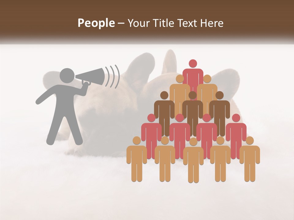 Two Puppies Are Laying Down On A White Carpet PowerPoint Template