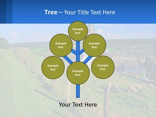 A Church On A Hill With Sheep Grazing In The Foreground PowerPoint Template