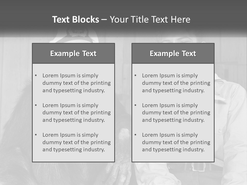 A Man Sitting Next To A Monkey With A Hat On PowerPoint Template