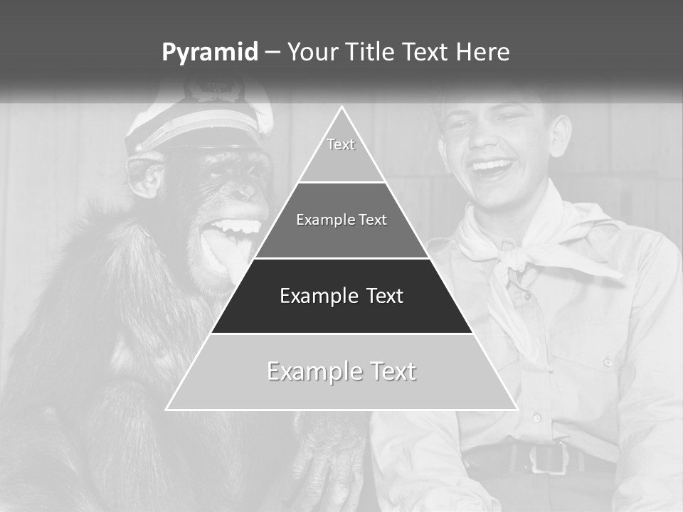 A Man Sitting Next To A Monkey With A Hat On PowerPoint Template