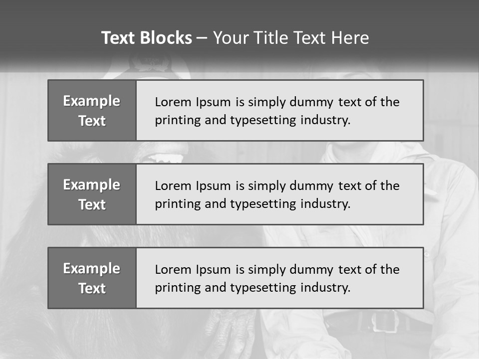 A Man Sitting Next To A Monkey With A Hat On PowerPoint Template