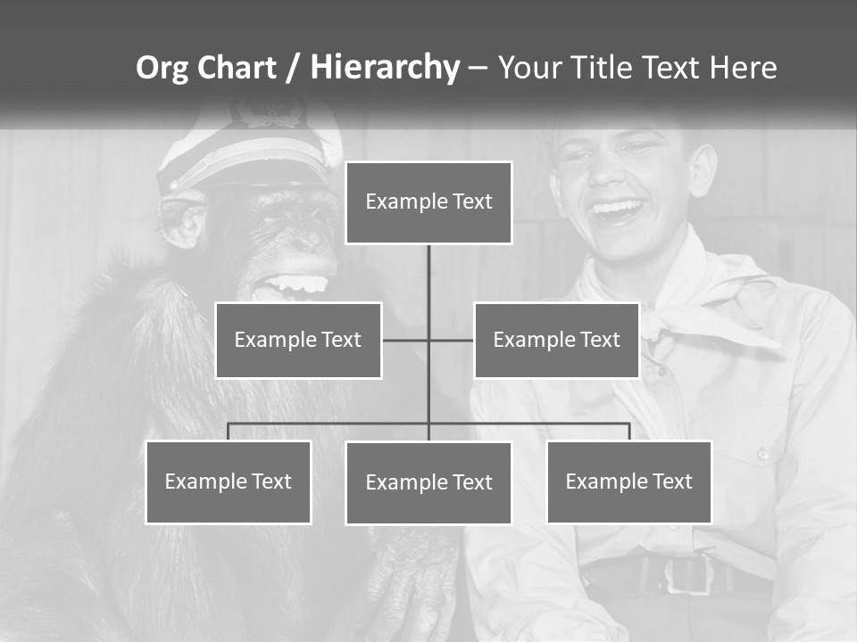 A Man Sitting Next To A Monkey With A Hat On PowerPoint Template