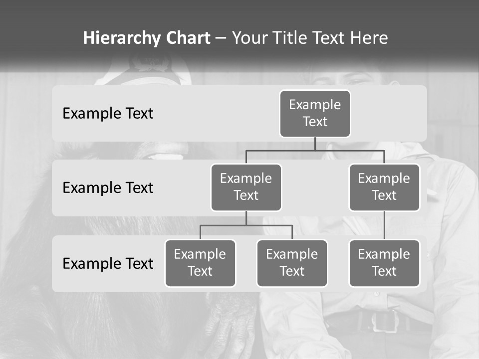 A Man Sitting Next To A Monkey With A Hat On PowerPoint Template