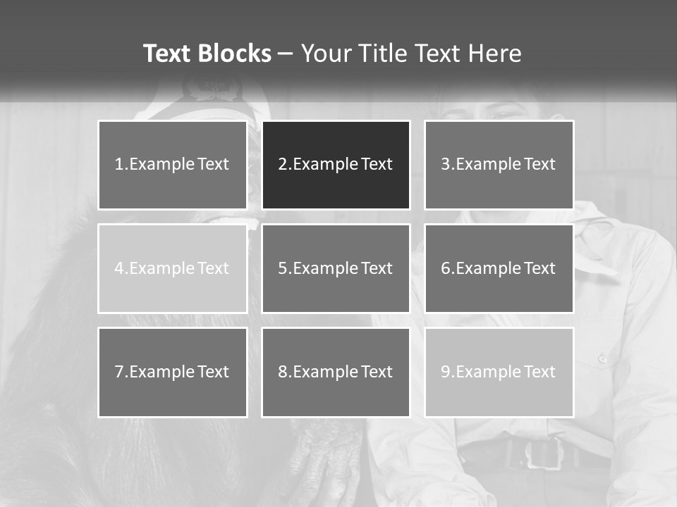 A Man Sitting Next To A Monkey With A Hat On PowerPoint Template