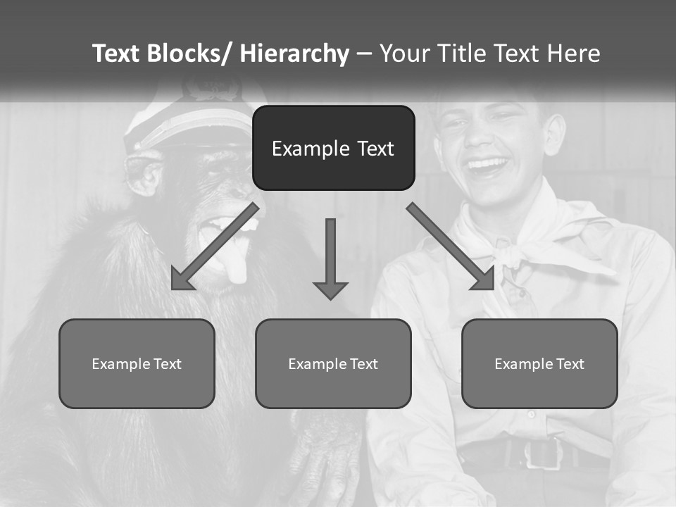 A Man Sitting Next To A Monkey With A Hat On PowerPoint Template