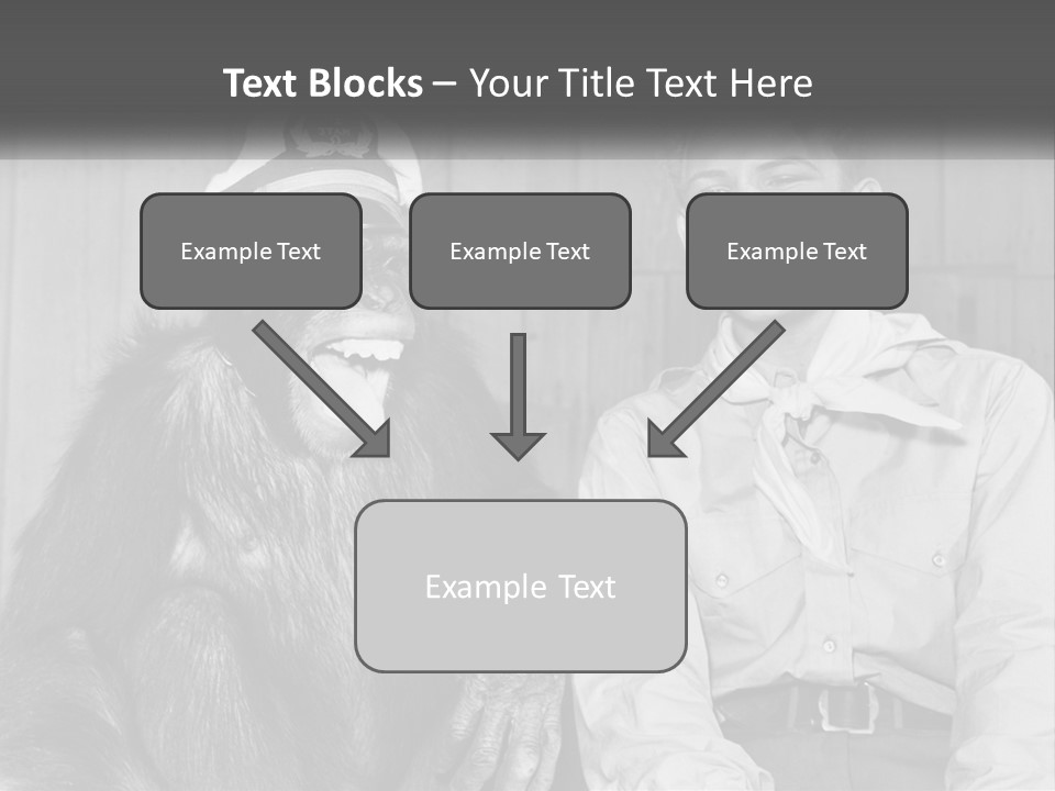 A Man Sitting Next To A Monkey With A Hat On PowerPoint Template