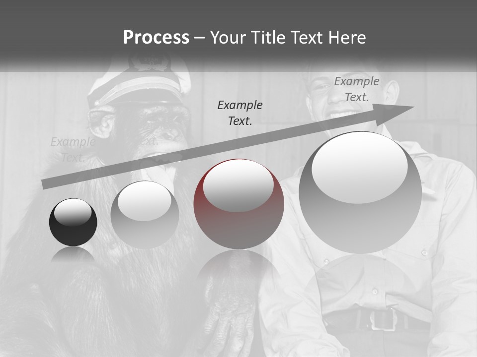 A Man Sitting Next To A Monkey With A Hat On PowerPoint Template