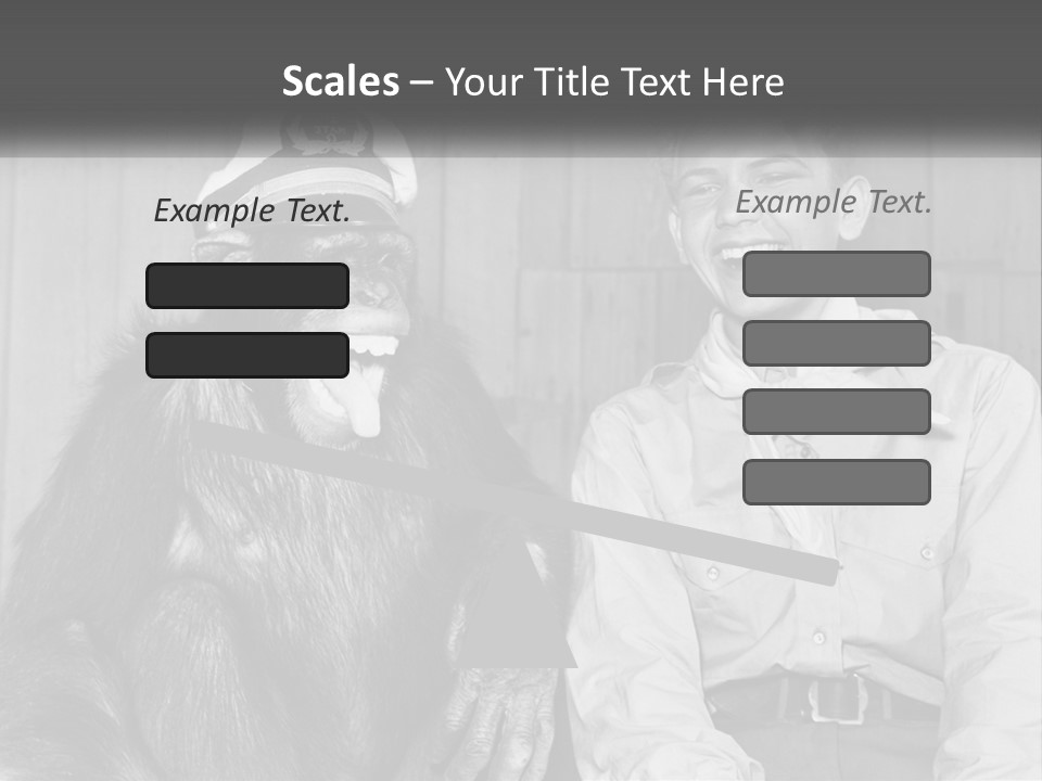 A Man Sitting Next To A Monkey With A Hat On PowerPoint Template