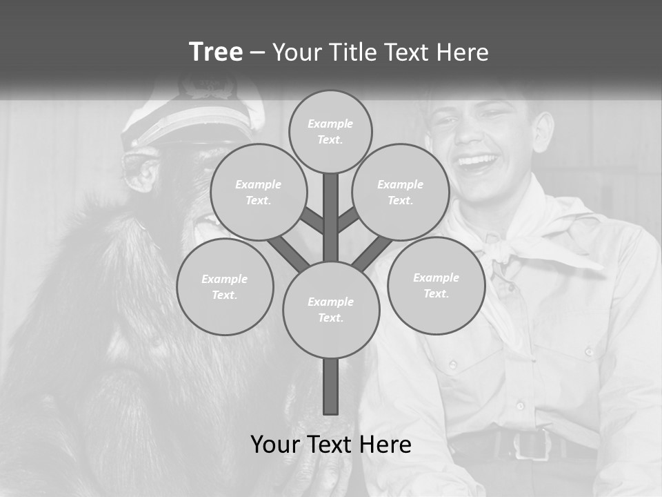 A Man Sitting Next To A Monkey With A Hat On PowerPoint Template