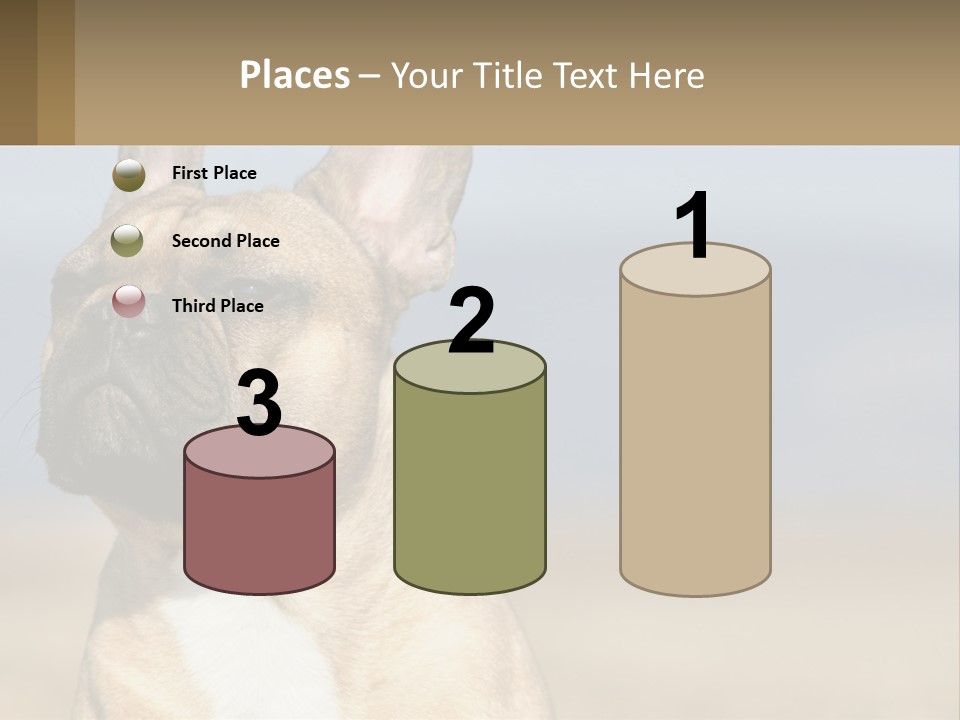 A Brown Dog Is Standing In A Field PowerPoint Template