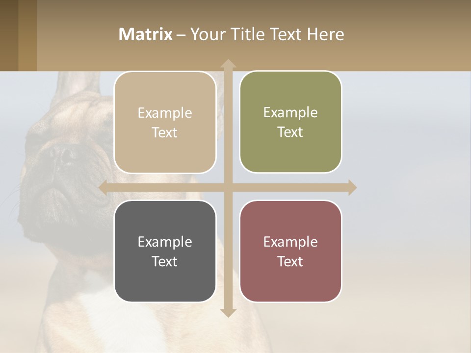 A Brown Dog Is Standing In A Field PowerPoint Template