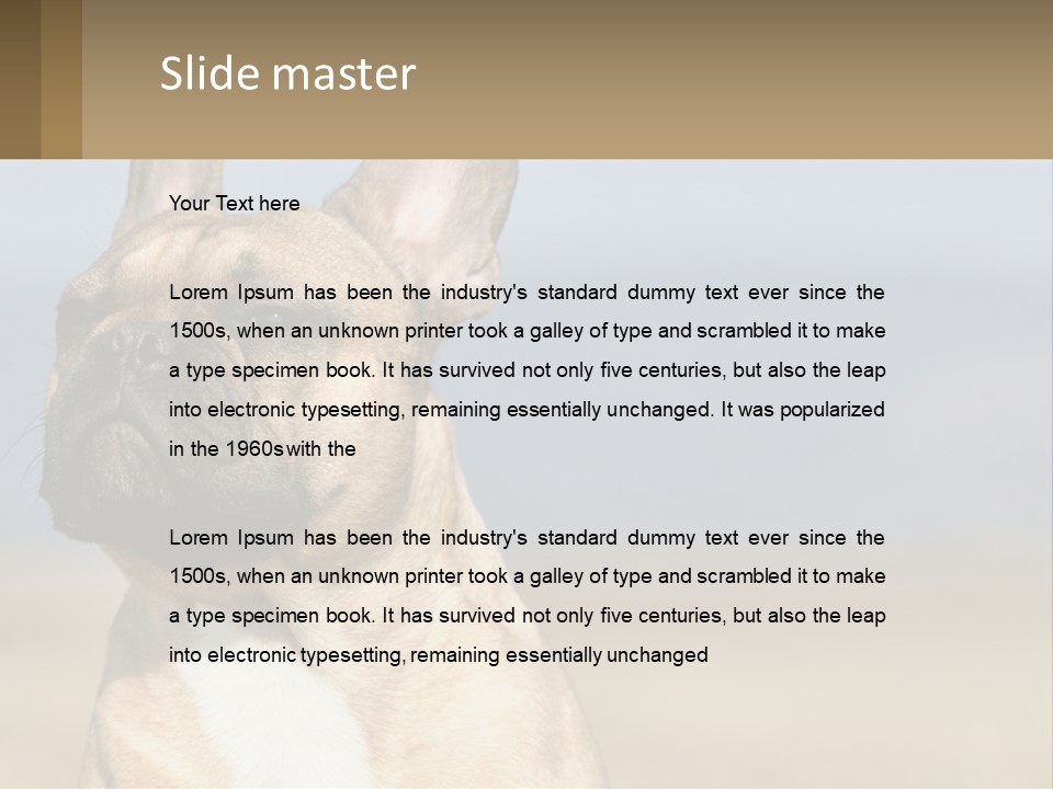 A Brown Dog Is Standing In A Field PowerPoint Template