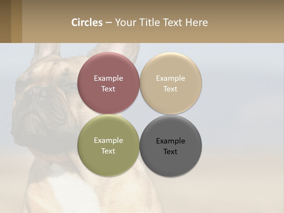 A Brown Dog Is Standing In A Field PowerPoint Template