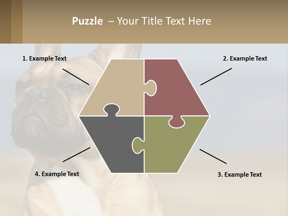 A Brown Dog Is Standing In A Field PowerPoint Template