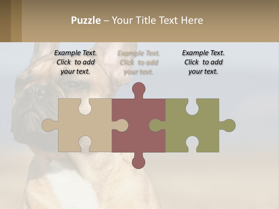 A Brown Dog Is Standing In A Field PowerPoint Template