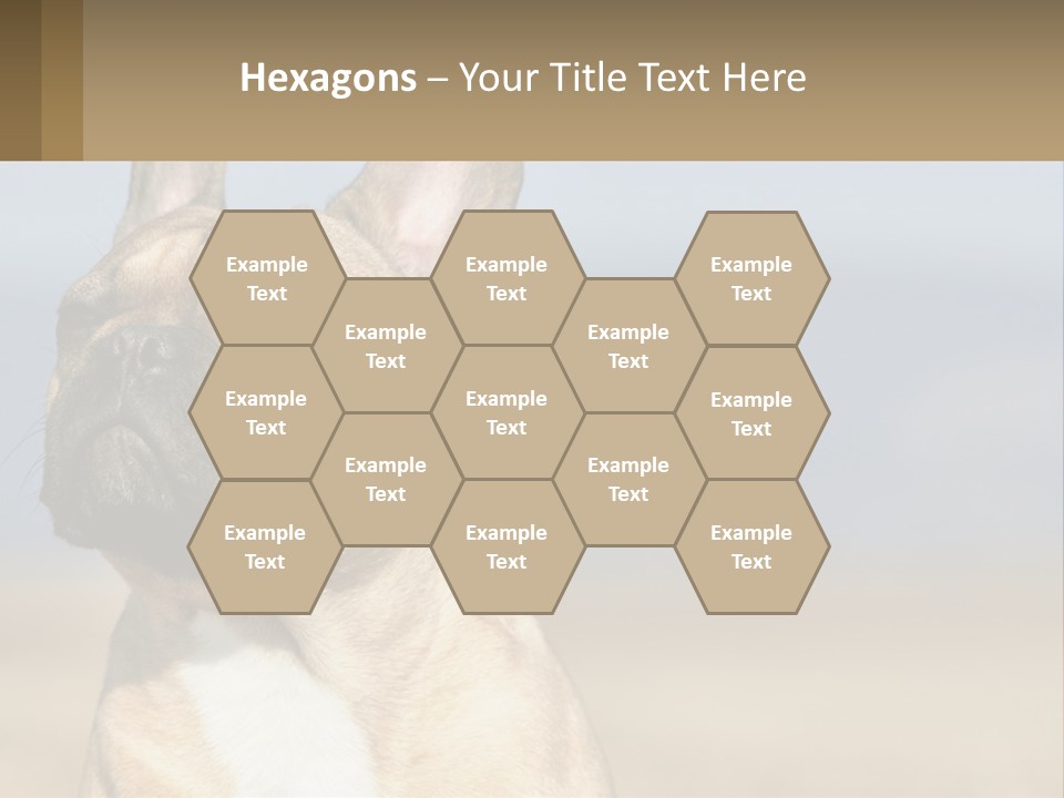 A Brown Dog Is Standing In A Field PowerPoint Template