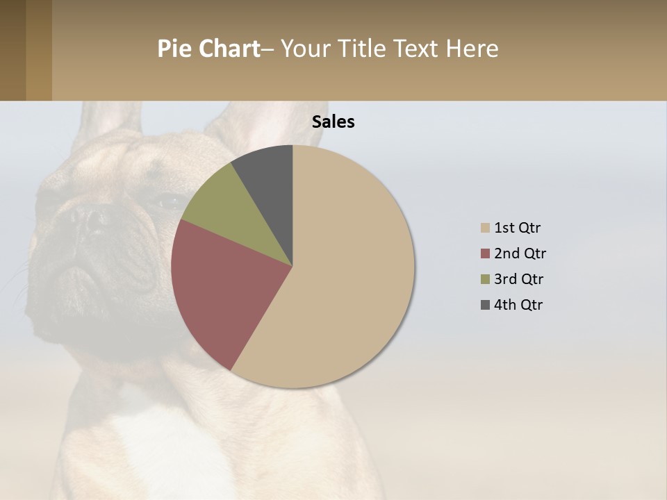 A Brown Dog Is Standing In A Field PowerPoint Template