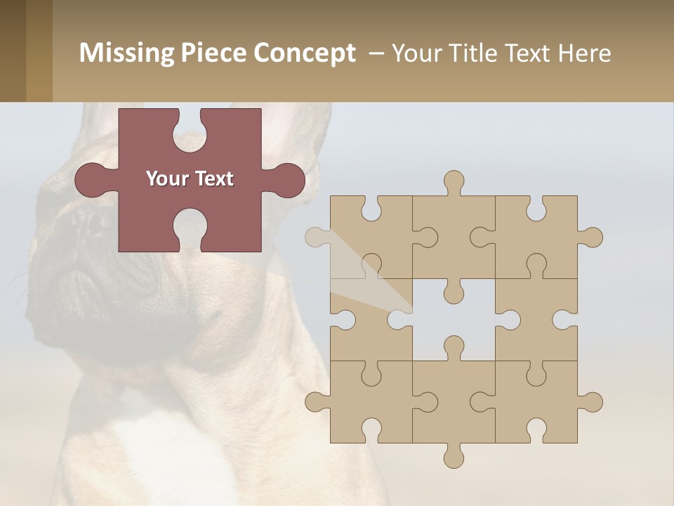A Brown Dog Is Standing In A Field PowerPoint Template
