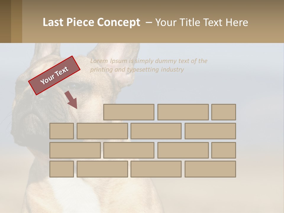 A Brown Dog Is Standing In A Field PowerPoint Template