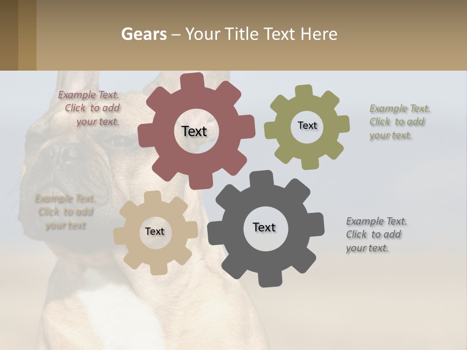 A Brown Dog Is Standing In A Field PowerPoint Template