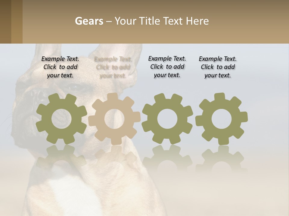 A Brown Dog Is Standing In A Field PowerPoint Template