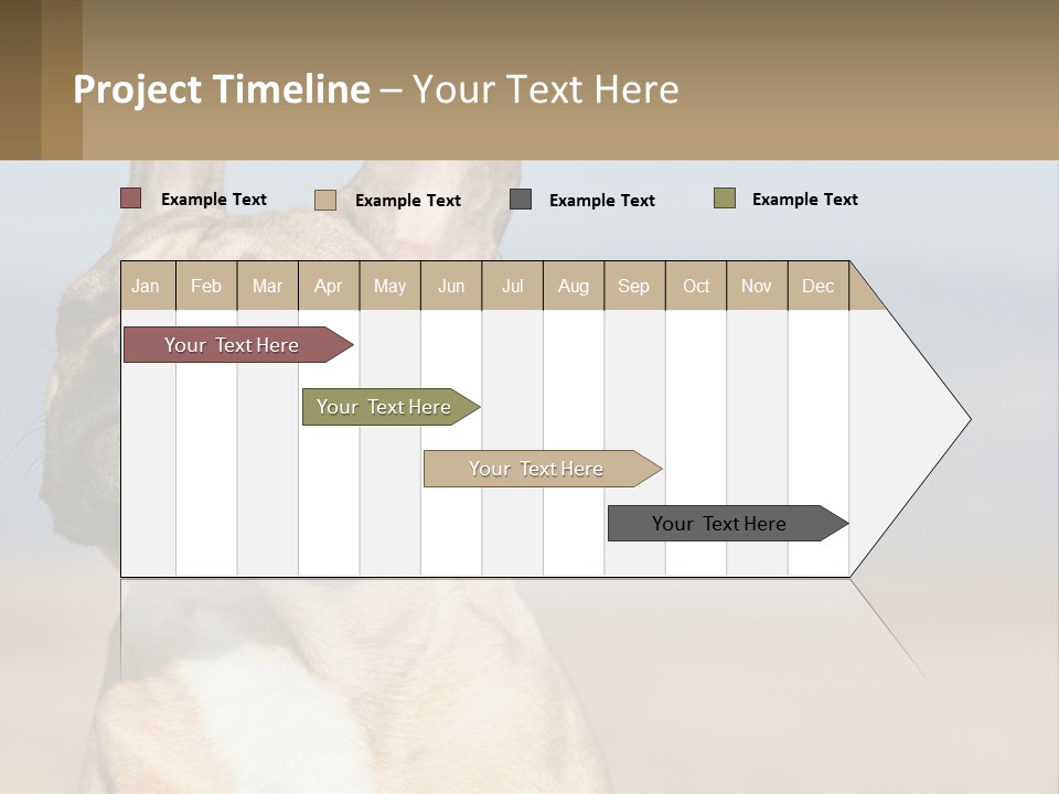 A Brown Dog Is Standing In A Field PowerPoint Template