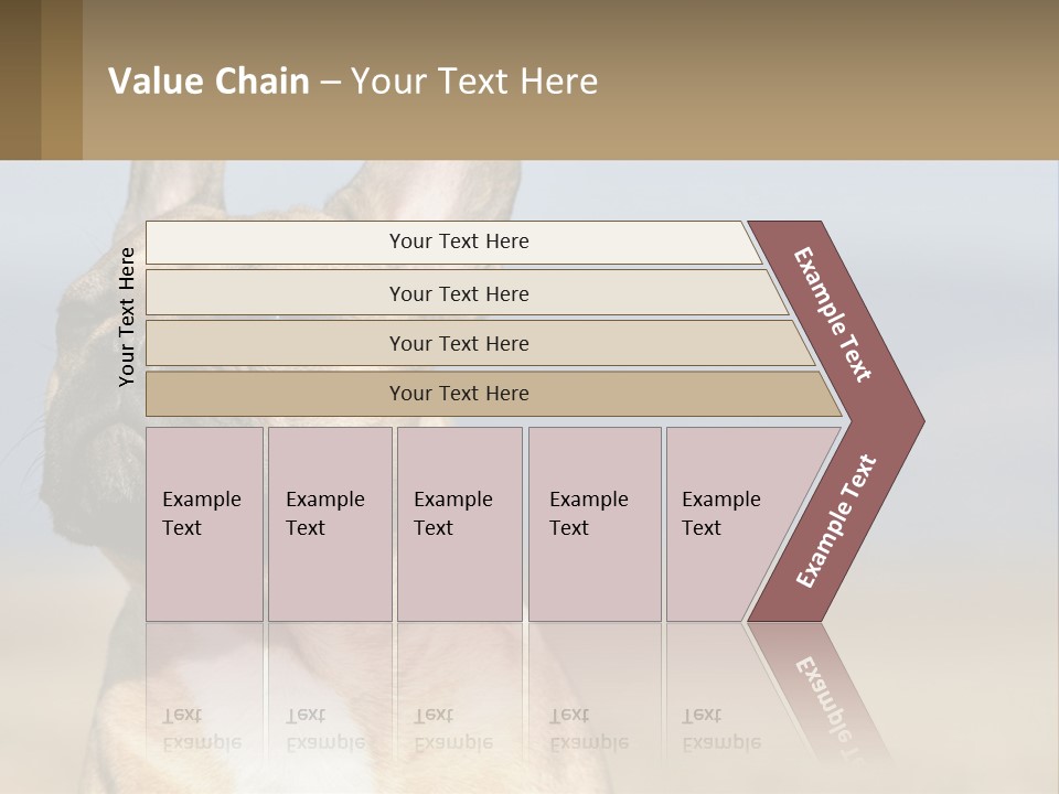A Brown Dog Is Standing In A Field PowerPoint Template