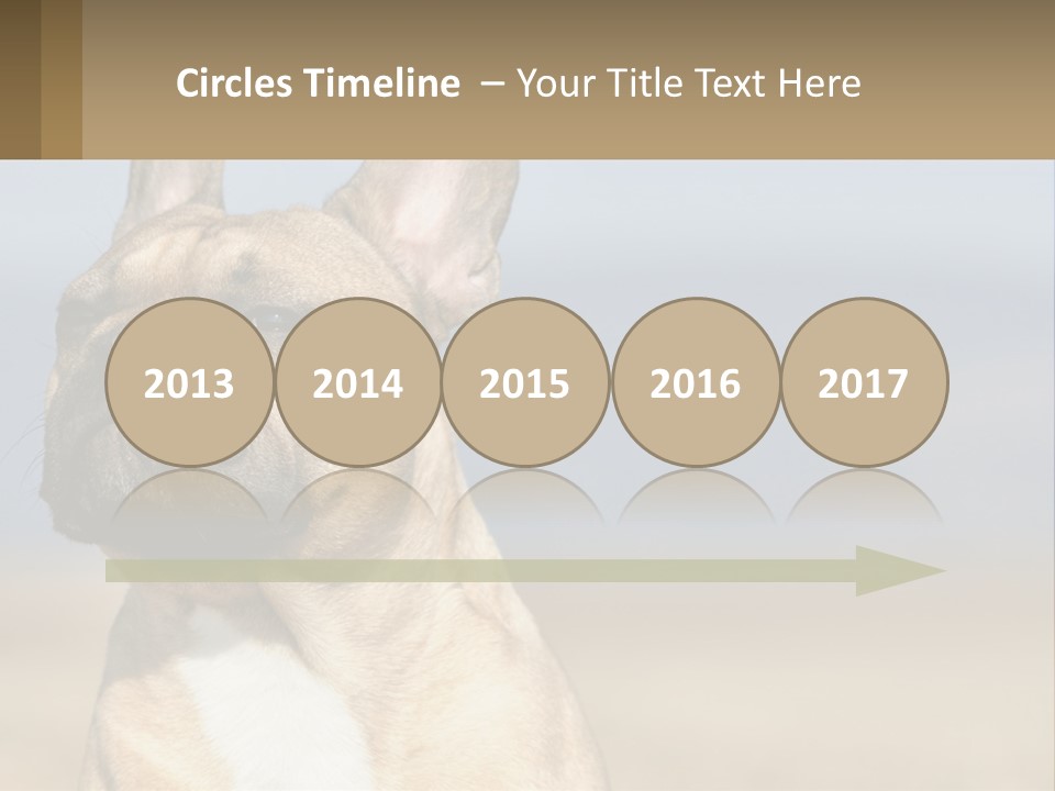 A Brown Dog Is Standing In A Field PowerPoint Template