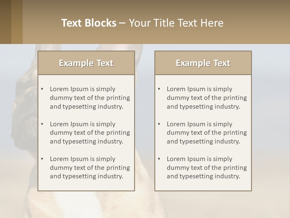 A Brown Dog Is Standing In A Field PowerPoint Template