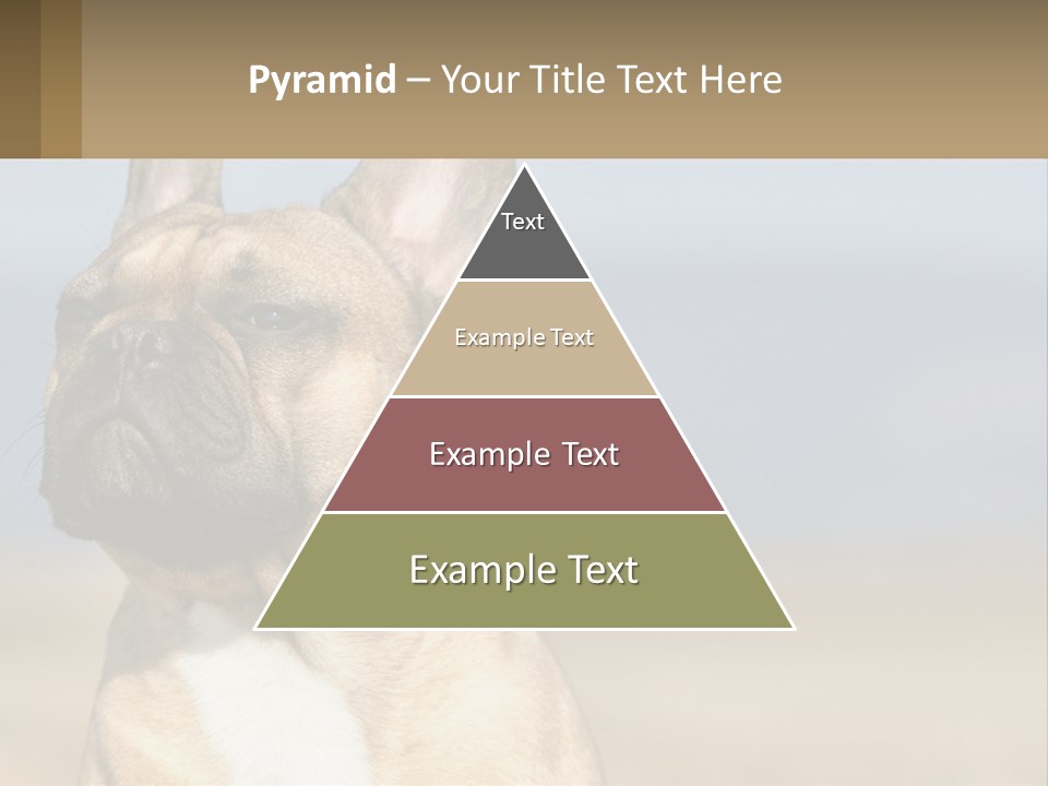 A Brown Dog Is Standing In A Field PowerPoint Template