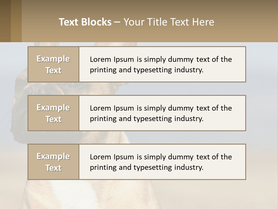 A Brown Dog Is Standing In A Field PowerPoint Template
