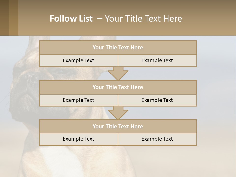 A Brown Dog Is Standing In A Field PowerPoint Template