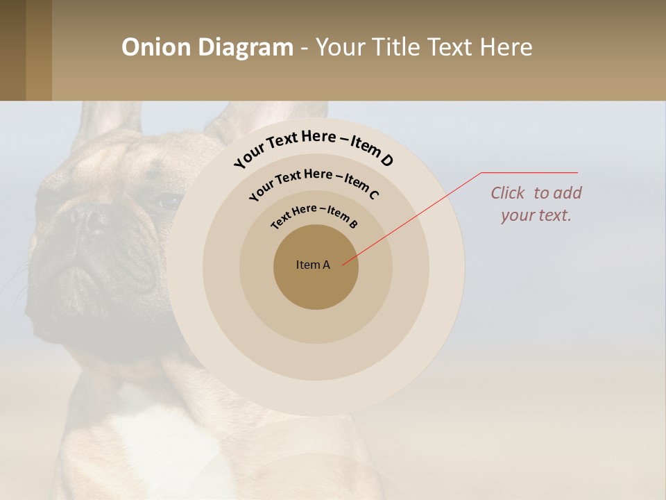 A Brown Dog Is Standing In A Field PowerPoint Template