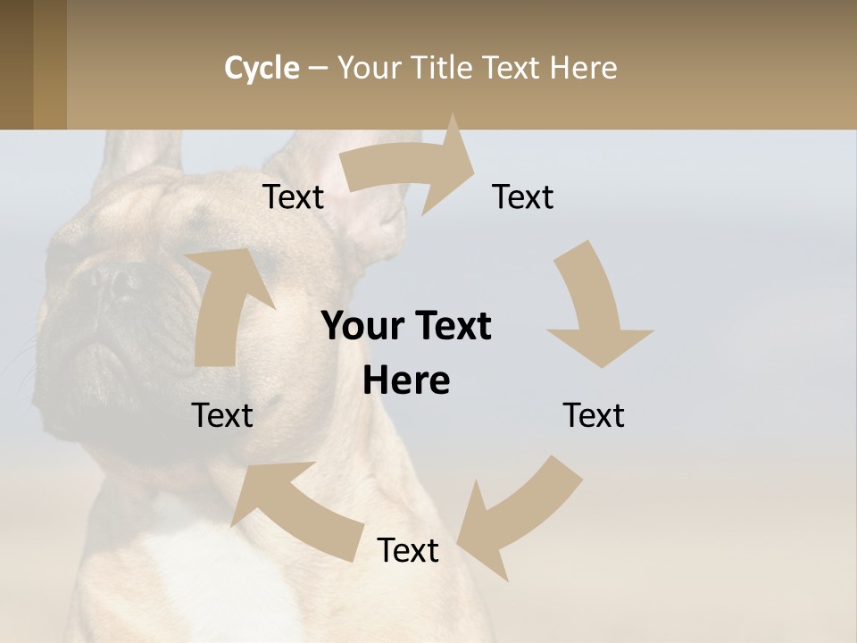 A Brown Dog Is Standing In A Field PowerPoint Template