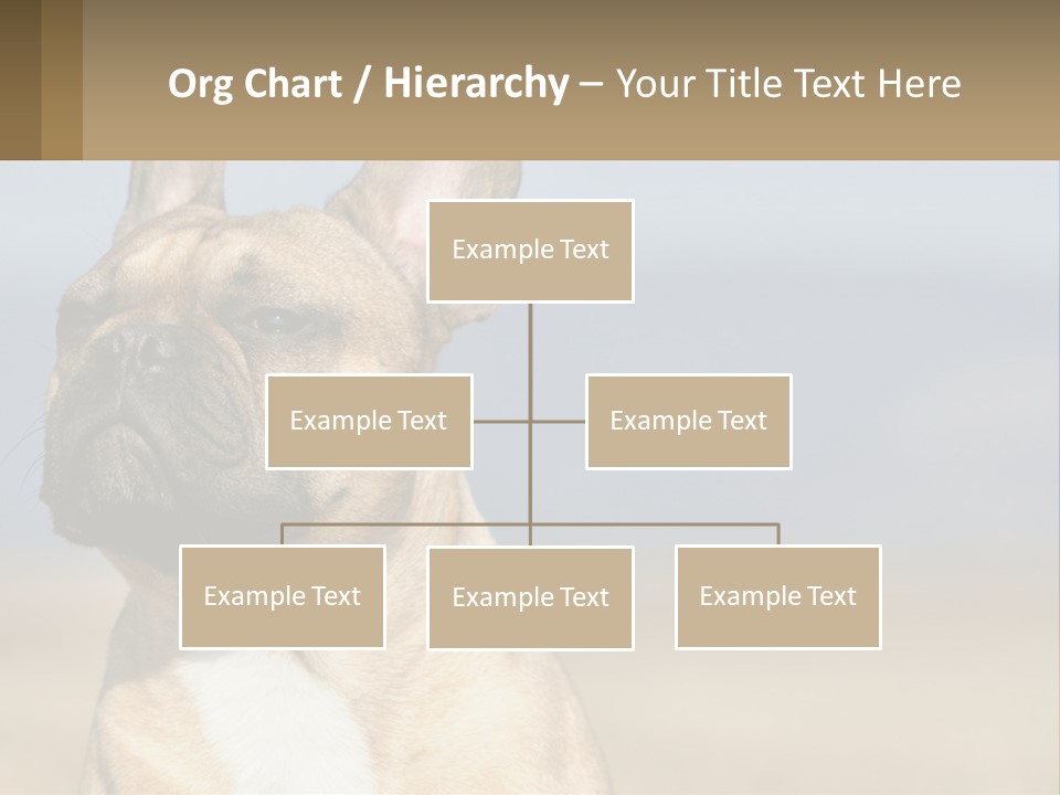 A Brown Dog Is Standing In A Field PowerPoint Template