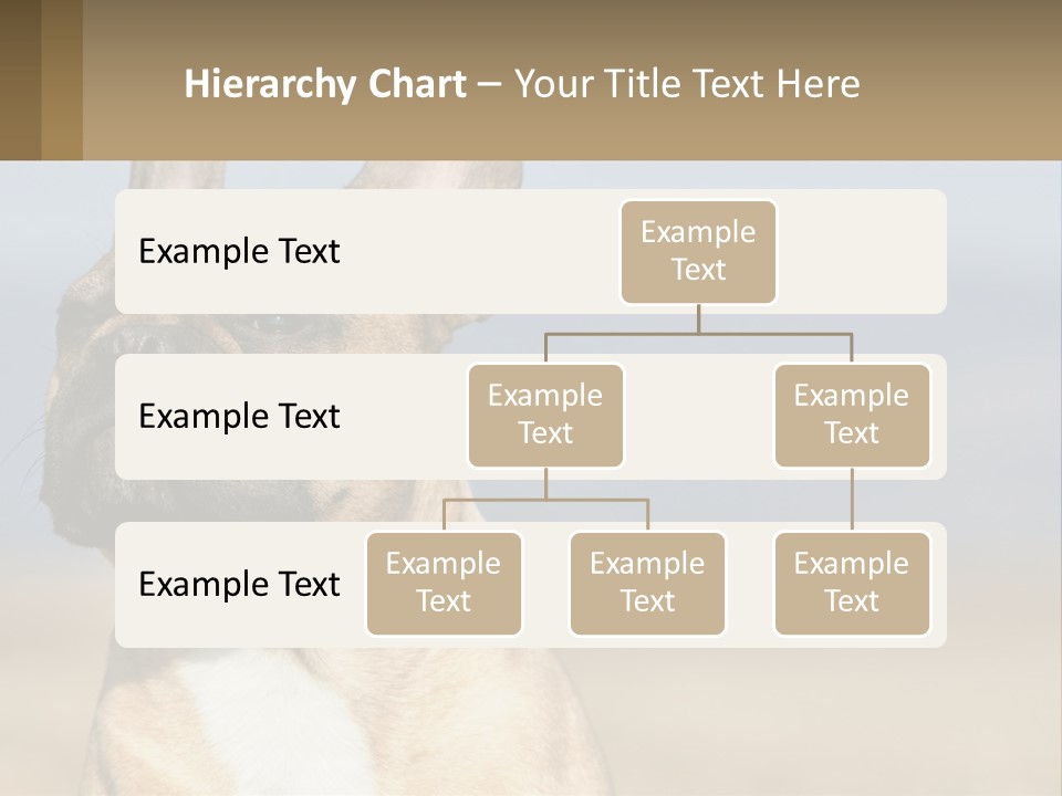 A Brown Dog Is Standing In A Field PowerPoint Template