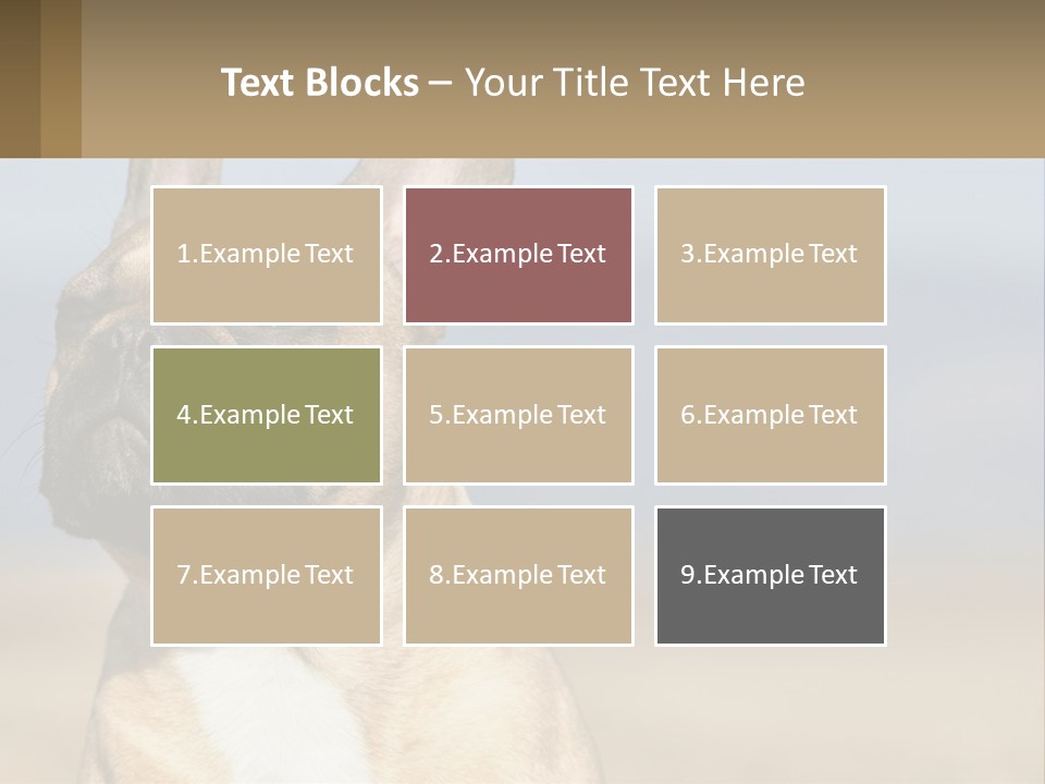 A Brown Dog Is Standing In A Field PowerPoint Template