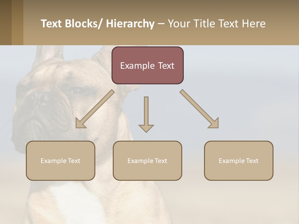 A Brown Dog Is Standing In A Field PowerPoint Template