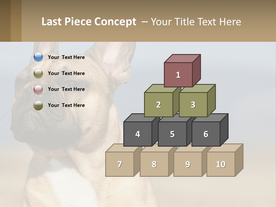 A Brown Dog Is Standing In A Field PowerPoint Template