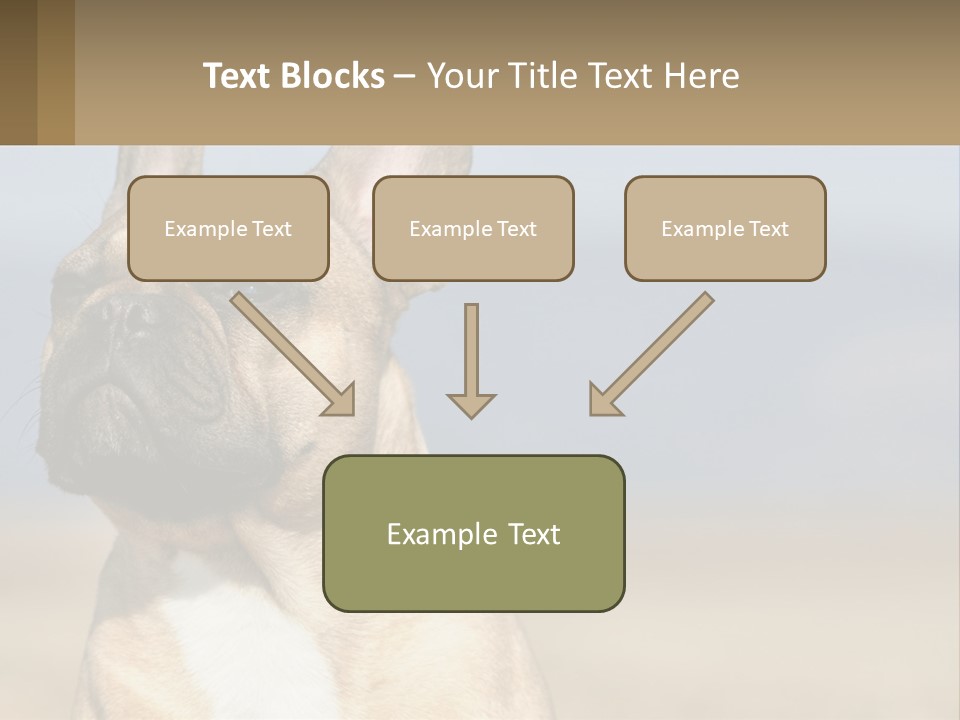 A Brown Dog Is Standing In A Field PowerPoint Template