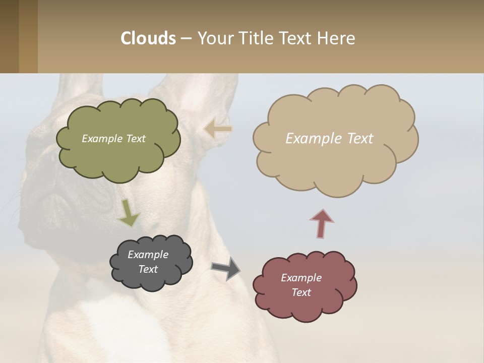 A Brown Dog Is Standing In A Field PowerPoint Template