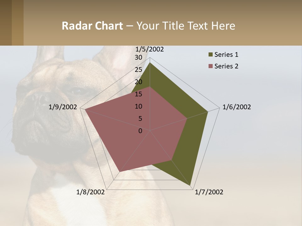 A Brown Dog Is Standing In A Field PowerPoint Template