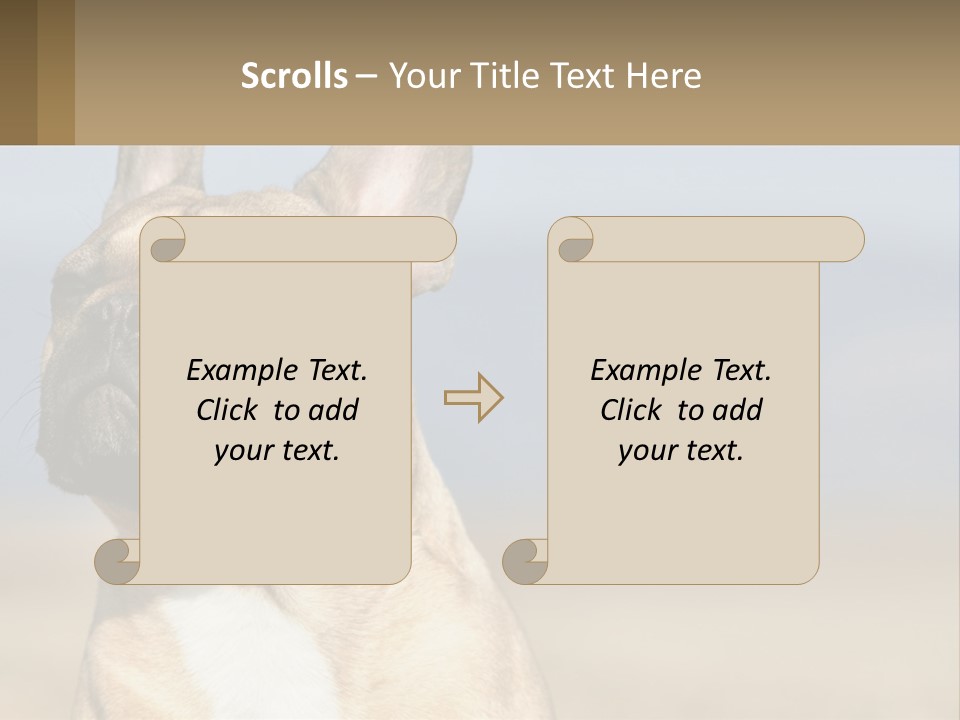A Brown Dog Is Standing In A Field PowerPoint Template