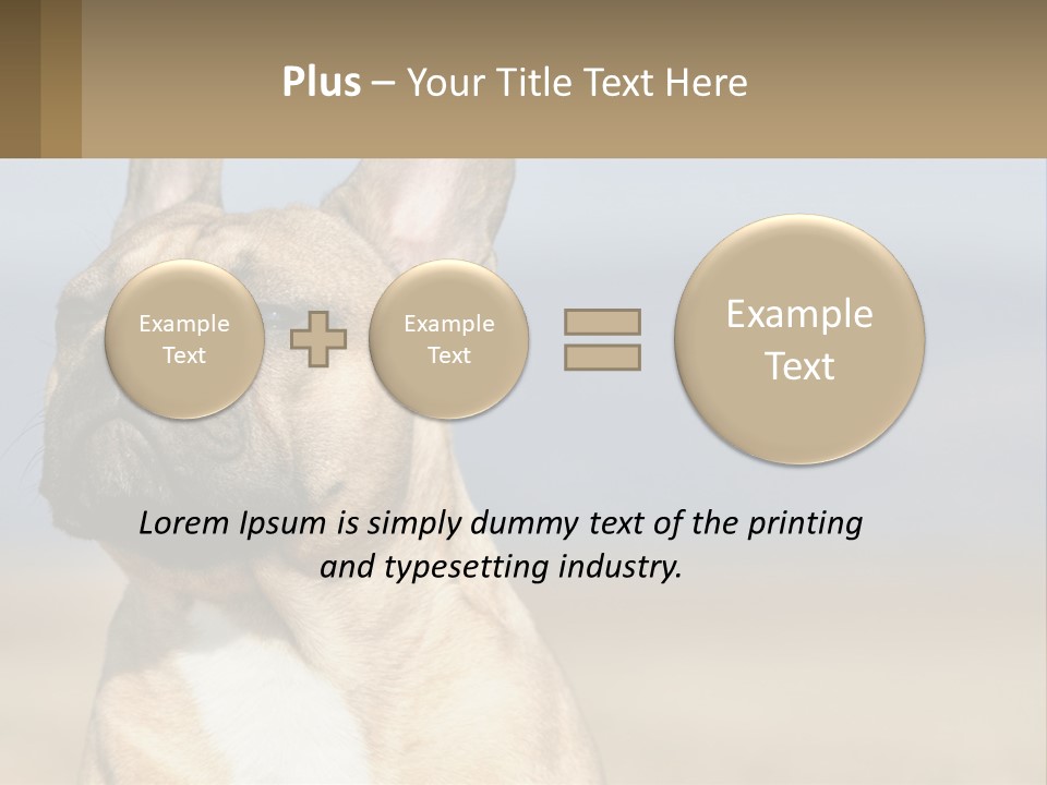 A Brown Dog Is Standing In A Field PowerPoint Template