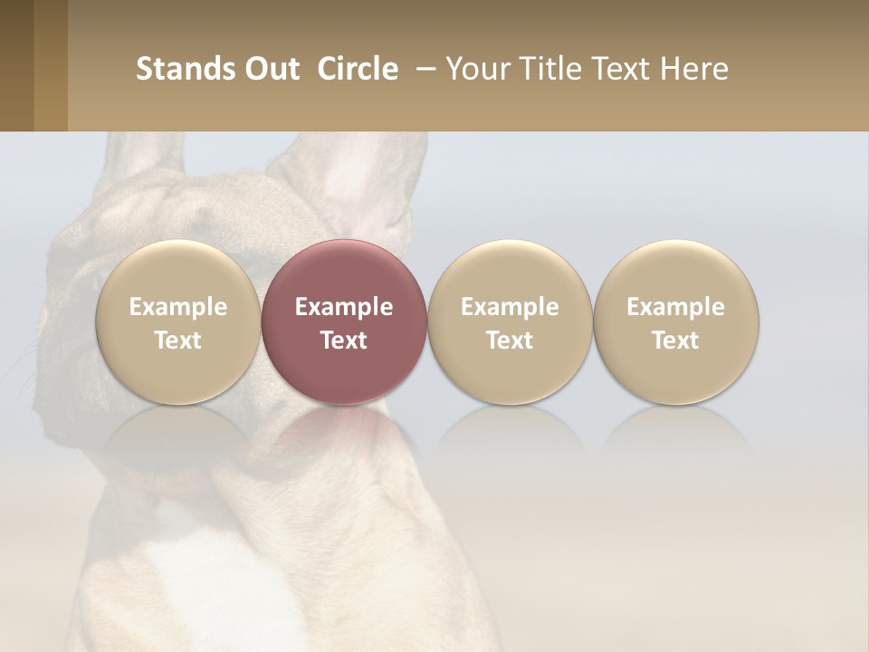 A Brown Dog Is Standing In A Field PowerPoint Template