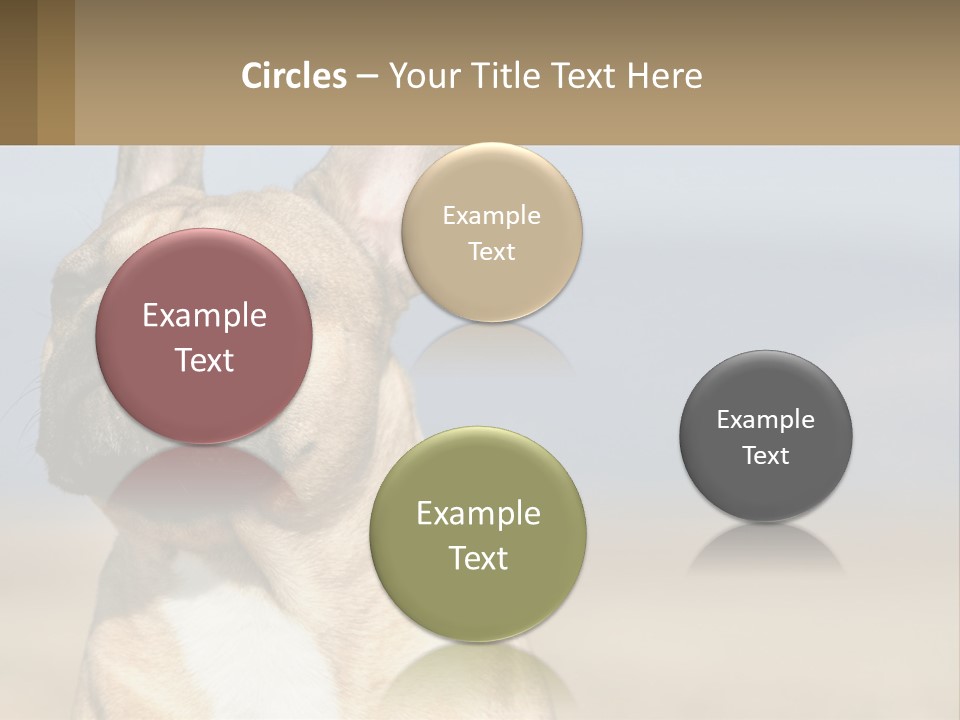 A Brown Dog Is Standing In A Field PowerPoint Template