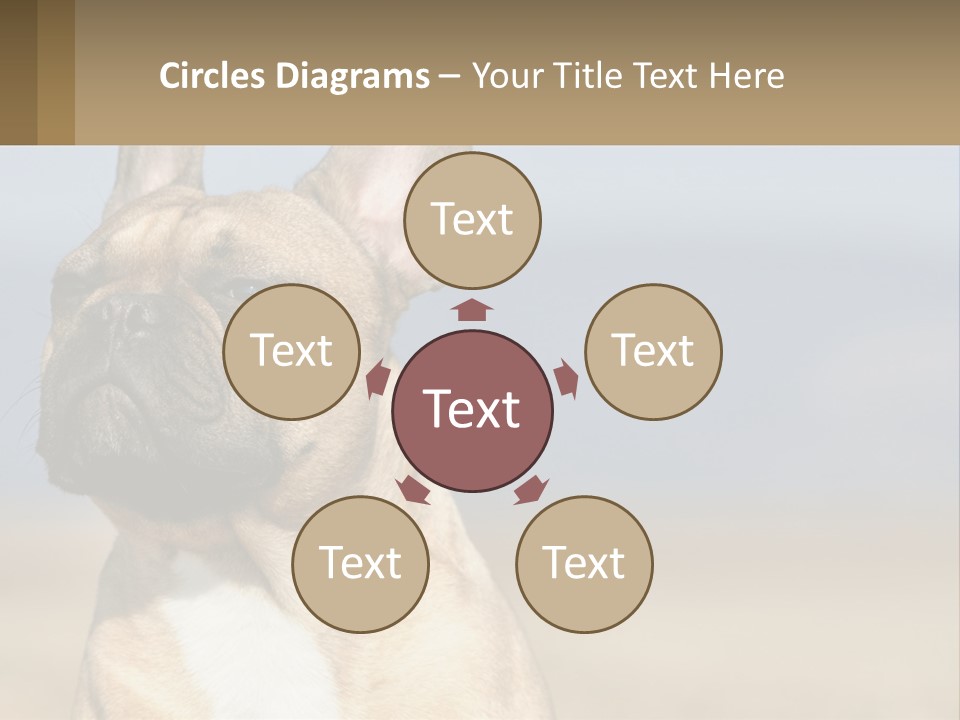 A Brown Dog Is Standing In A Field PowerPoint Template