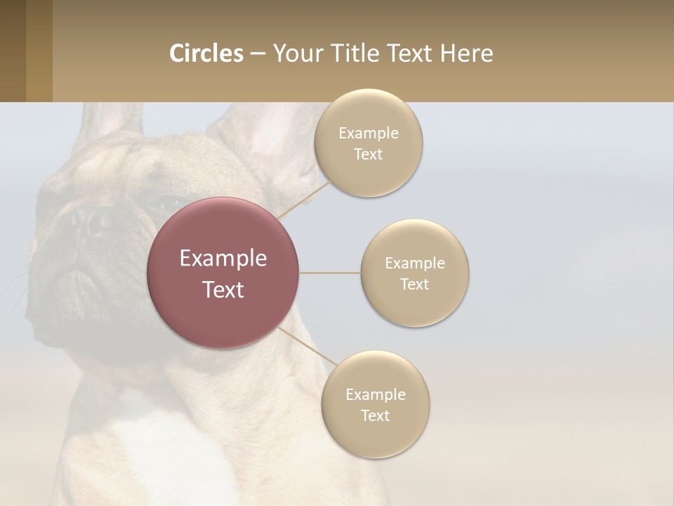 A Brown Dog Is Standing In A Field PowerPoint Template