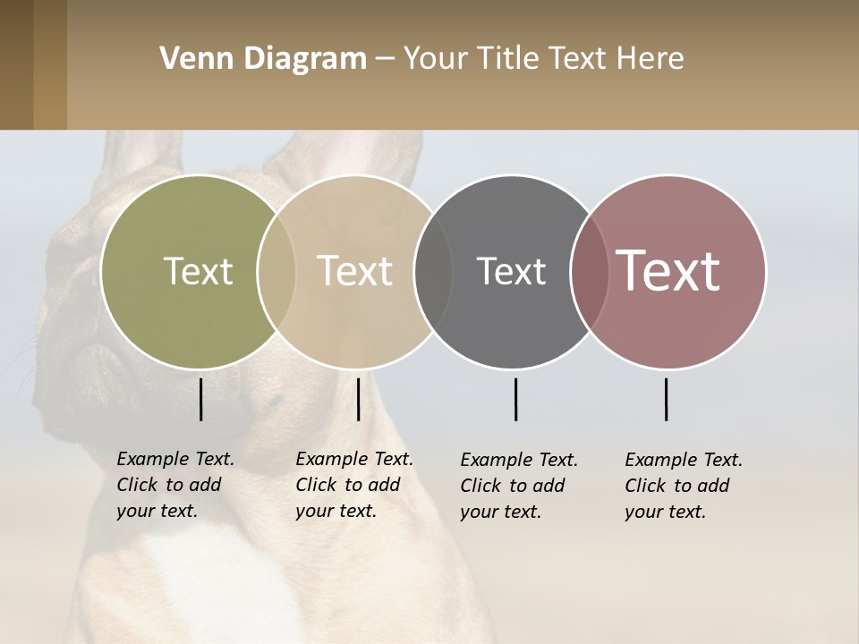 A Brown Dog Is Standing In A Field PowerPoint Template