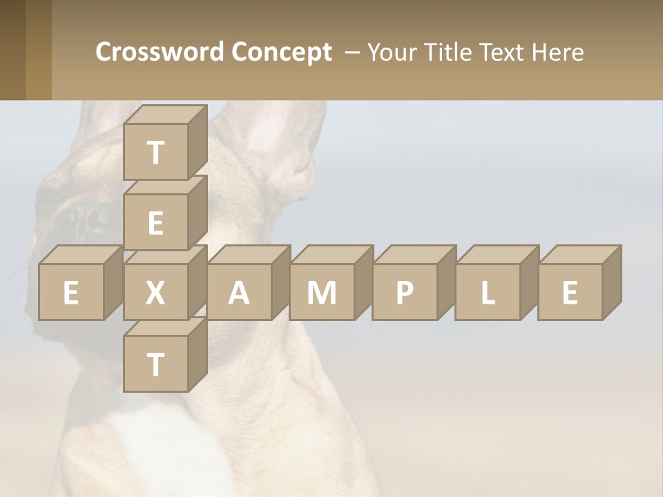 A Brown Dog Is Standing In A Field PowerPoint Template